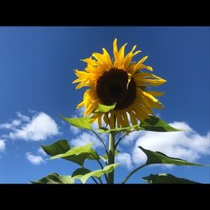 Meet your Posher, Joanne